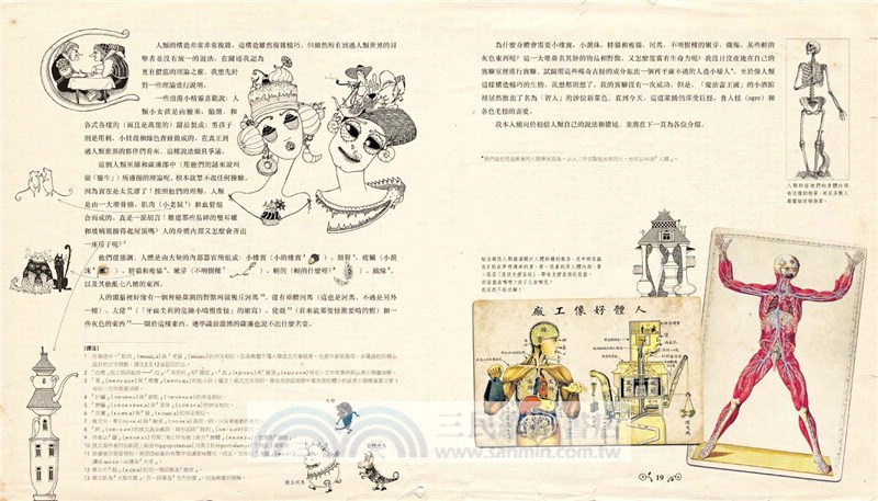 來自精靈世界的人類奇幻百科