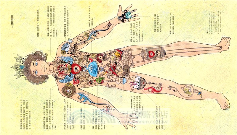 來自精靈世界的人類奇幻百科