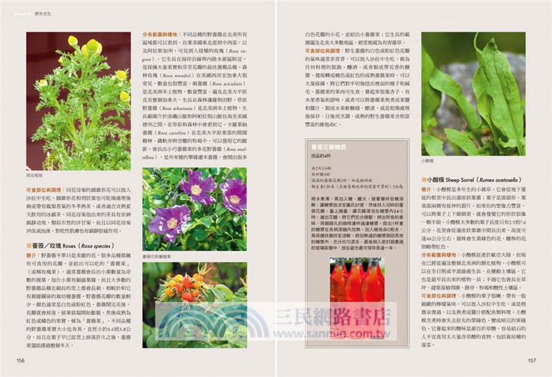 野地露營聖經：史上最完備！圖解露營、划船、釣魚、野炊、野外求生、急救終極指南