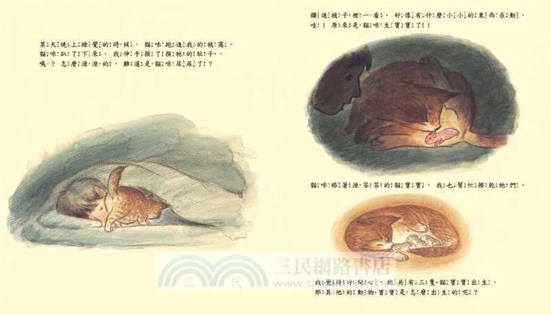 動物寶寶是怎麼出生的？