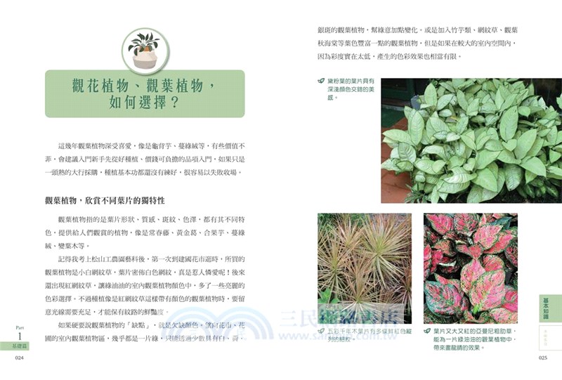 新手種花100問【暢銷修訂版】：資深專家40年經驗，種植疑難雜症全圖解