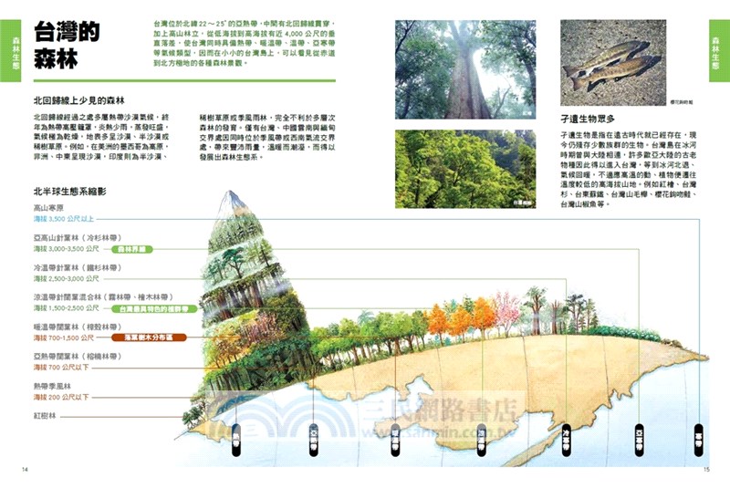 一看就懂森林之島：走入大自然，親近台灣森林的第一本書