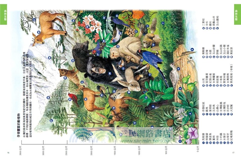 一看就懂森林之島：走入大自然，親近台灣森林的第一本書