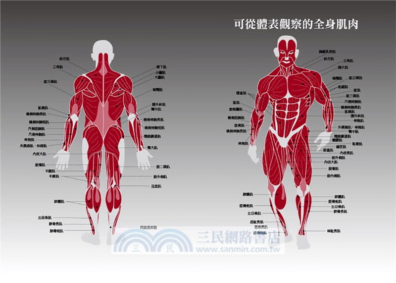 日本人体解剖学 下 | www.psychologiesport.fr