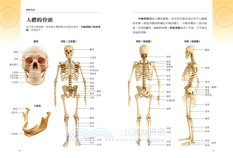 能量瑜伽解剖 氣脈 肌群 骨骼全書 史上最完整 體位 脈輪 調息 鎖印 手印 冥想全收錄 三民網路書店