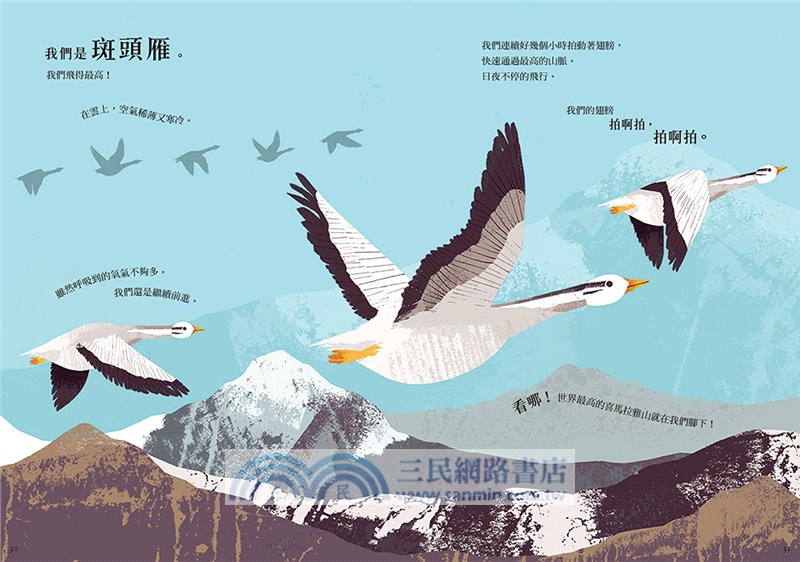 當動物踏上遷徙的旅程