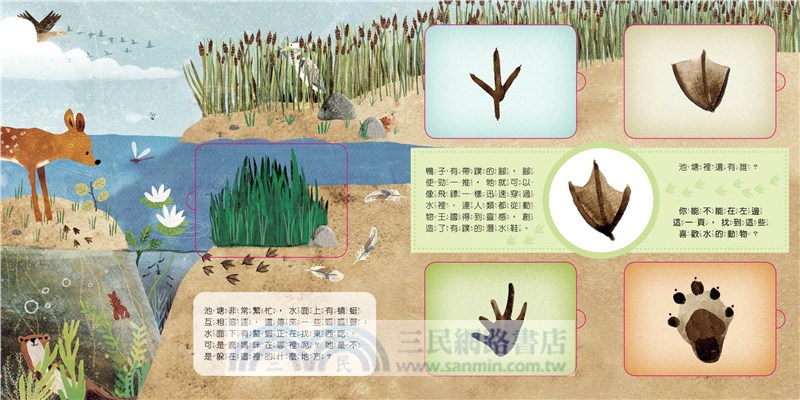 動物小知識翻翻書：這是誰的腳印？