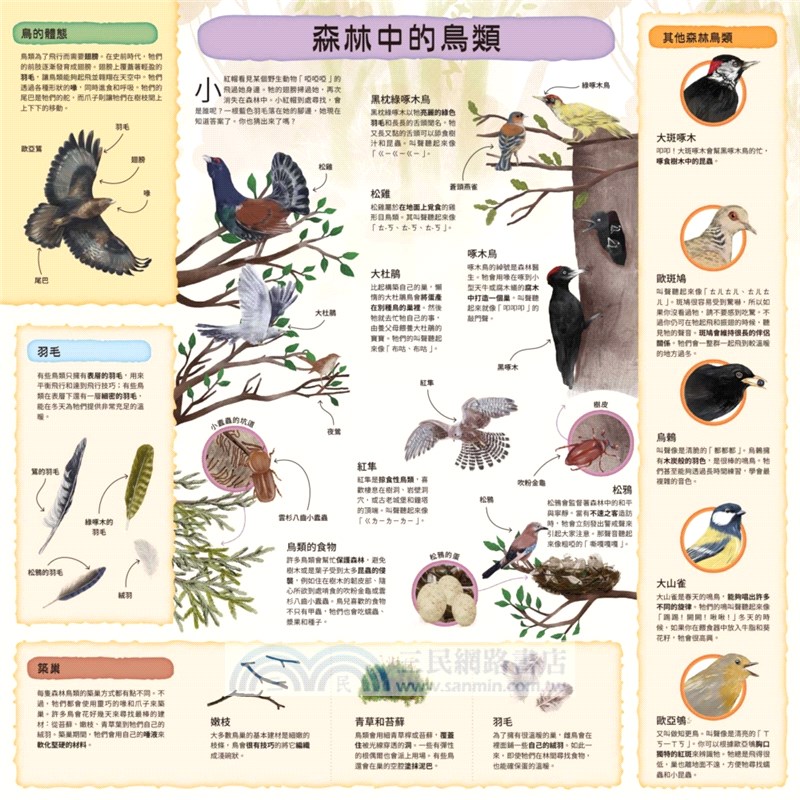 童話知識小百科翻翻書01：跟著小紅帽認識森林動物