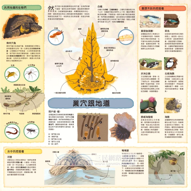 童話知識小百科翻翻書03：跟著白雪公主探索地