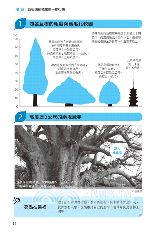 趣味植物 三民網路書店