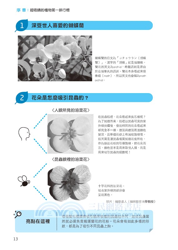 趣味植物 三民網路書店