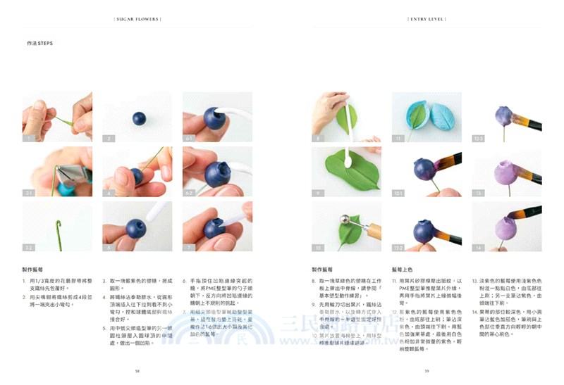 擬真糖花極致美學：從基礎技法、配色到初中高階花型、蛋糕裝飾、比賽用花，揭開糖花的美麗秘密