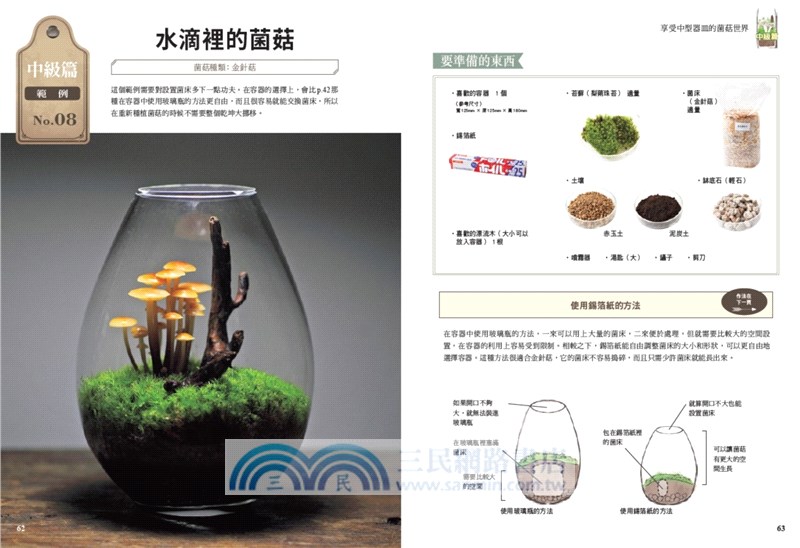 菌菇的微型世界：以玻璃瓶打造掌中風景