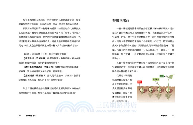 經絡解密卷六：解開腎經先天之本與奇經八脈的身世之謎-腎經＋奇經八脈