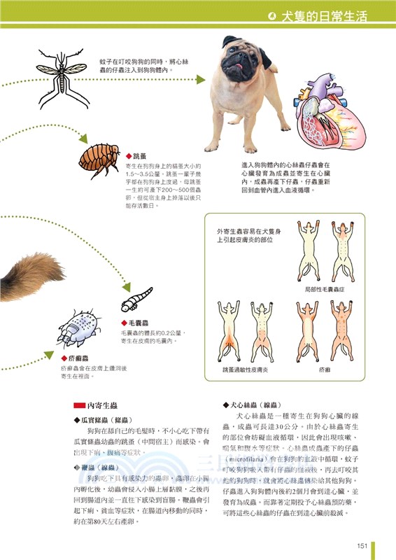 犬學大百科 圖解完整版 一看就懂 終身受用的狗狗基礎科學 二版 三民網路書店