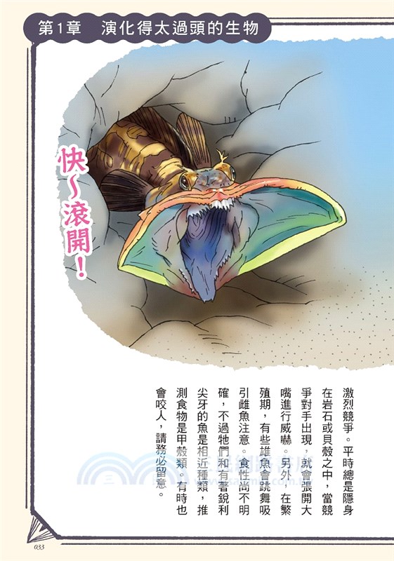 奇妙卻很實用！動物演化知識小百科