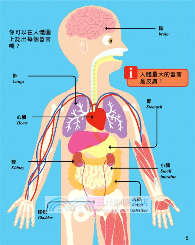 Discovery Kids科學小天才 動腦動手大探索：人體奧秘