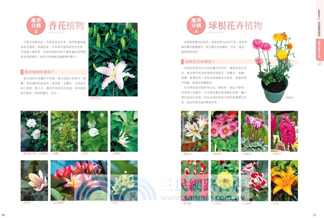 基礎栽培大全（2014年全新封面暢銷改版）