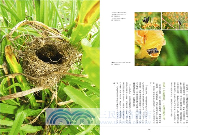 Eco Food 生態食材！小農田大宇宙，自然農場裡的復育新運動！