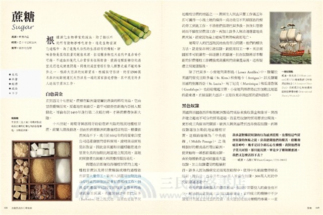 改變歷史的50種食物