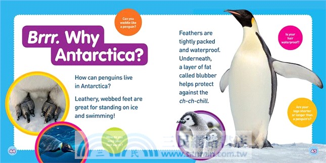 國家地理幼幼探險家：企鵝的冒險（中英雙語）