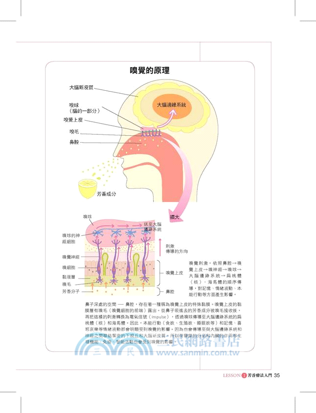 日本銷售第一的芳香療法聖經：適合全家人使用的99種精油配方與簡單易學的按摩手法