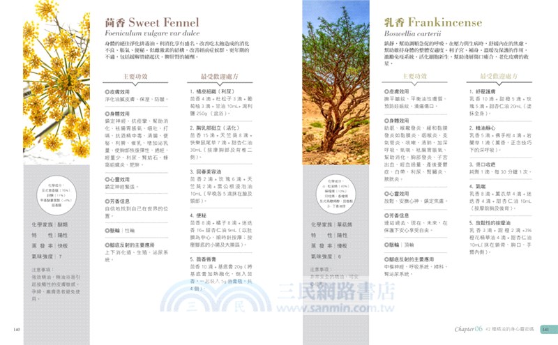 精油療癒全書：20年臨床芳香治療處方，搭配足反射區診斷，快速消除病機和病症！