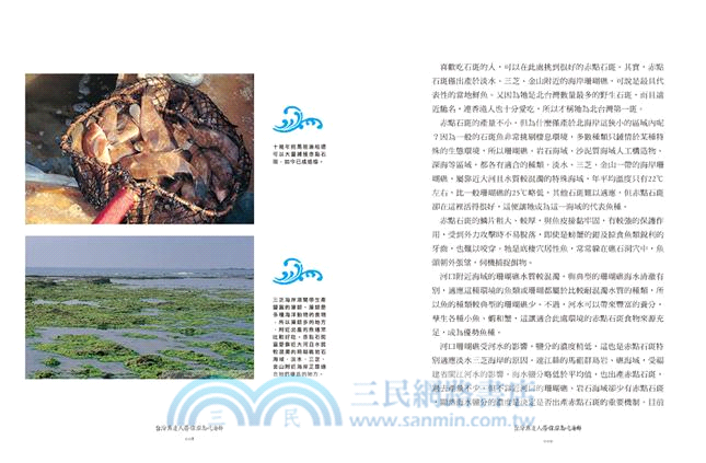 台灣魚達人帶你環島吃海鮮