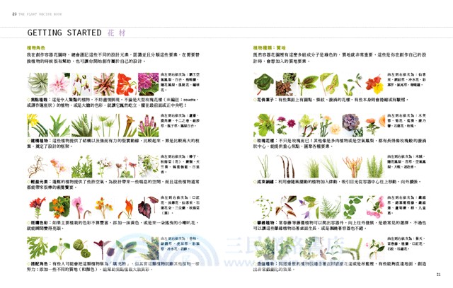 植栽時間：100種室內園藝裝飾diy