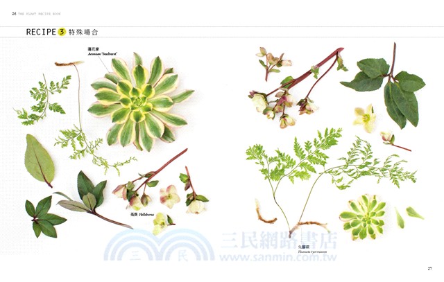 植栽時間：100種室內園藝裝飾diy