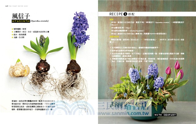 植栽時間：100種室內園藝裝飾diy