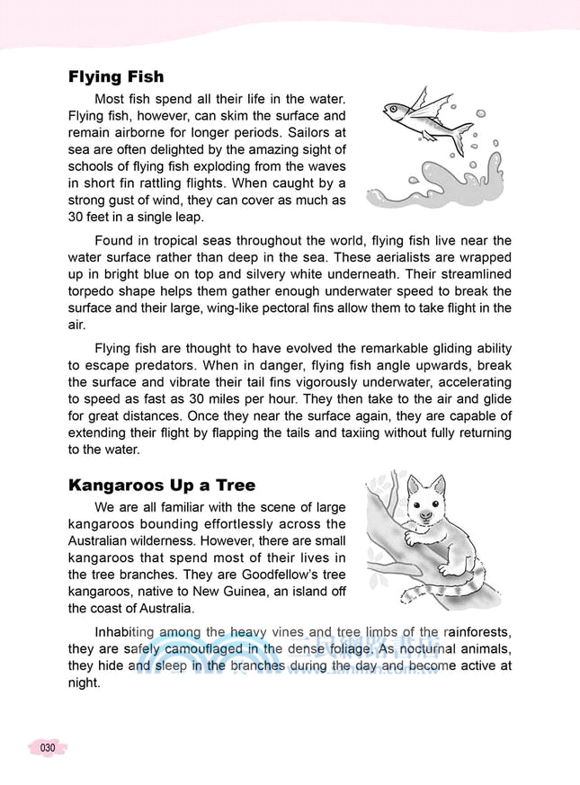 一本搞定 TOEIC、全民英檢、公職英文考試