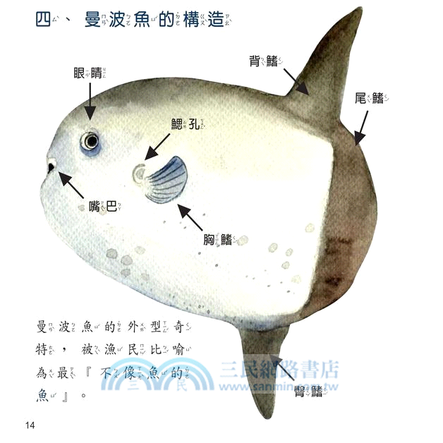 謎漾的魚 曼波魚 三民網路書店