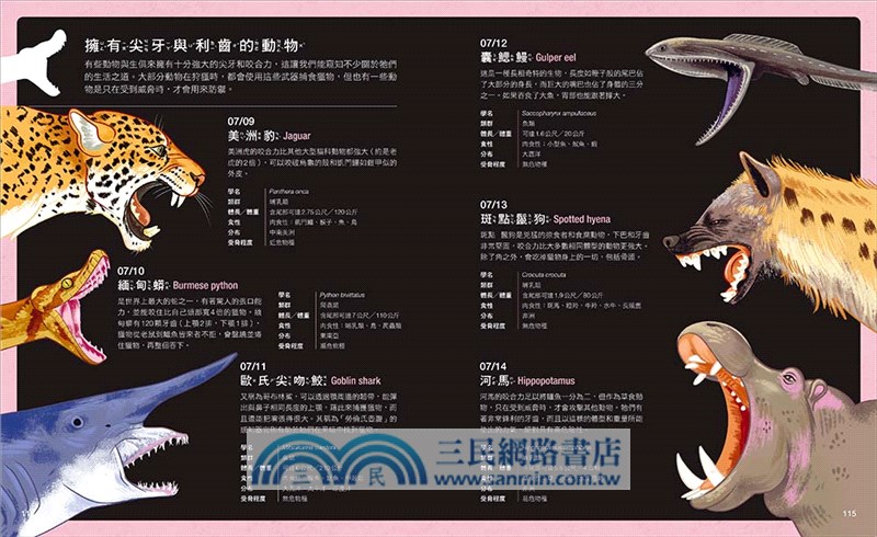 一日一動物探索超圖鑑：365種陸海空生物大集合，走入驚奇有趣的生態世界！