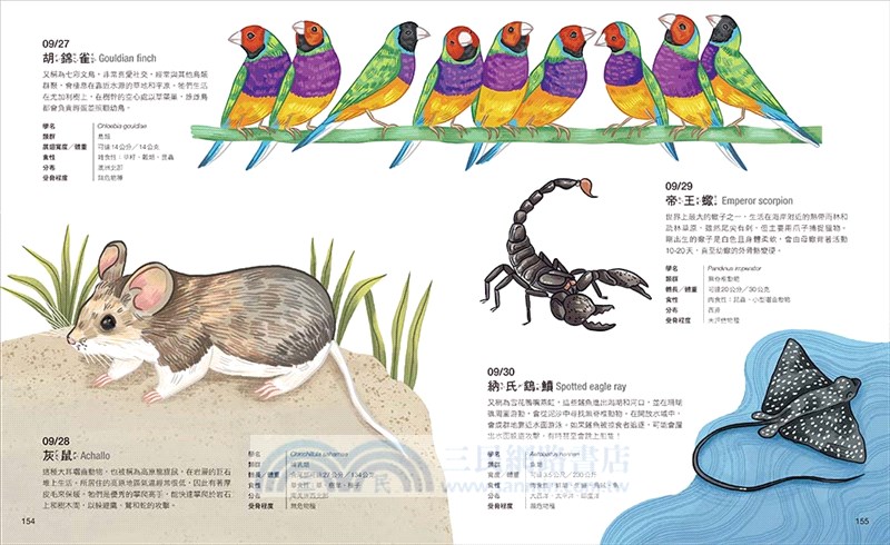 一日一動物探索超圖鑑：365種陸海空生物大集合，走入驚奇有趣的生態世界！