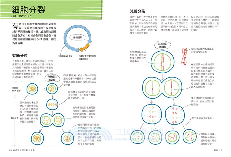 真希望基礎生物這樣教【暢銷修訂版】：國高中生必備！看圖學生物，從細胞、遺傳學、物競天擇到生物學，建立生物素養一本就夠！