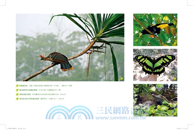 希望之翼：倖存的奇蹟，以及雨林與我的故事