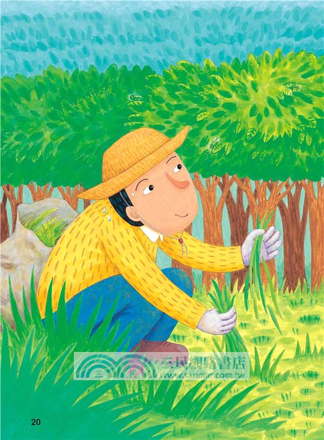 小綠葉蟬的魔法