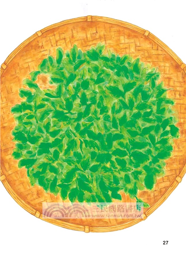 小綠葉蟬的魔法