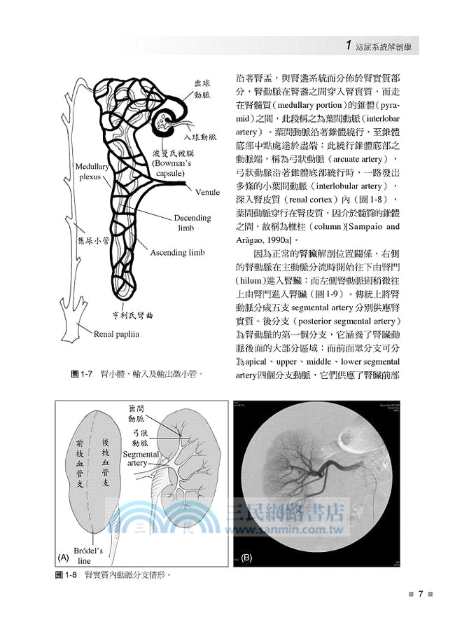 臨床泌尿學 (共二冊)