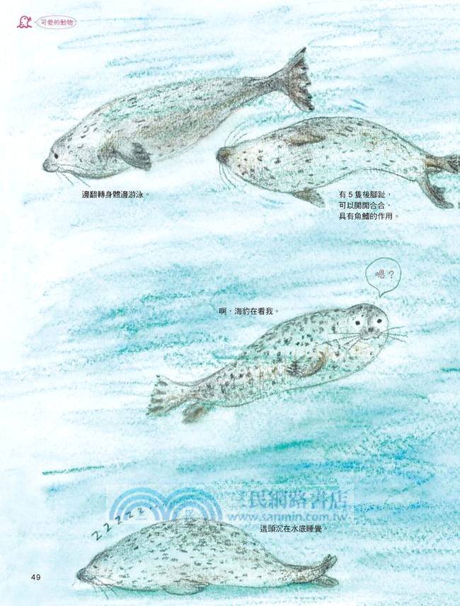 秋草愛和她的動物朋友們