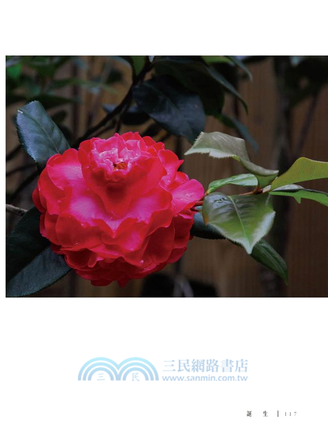 往前往後都是團圓