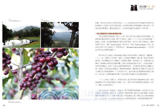 尋豆師：國際評審的中南美洲精品咖啡莊園報告書