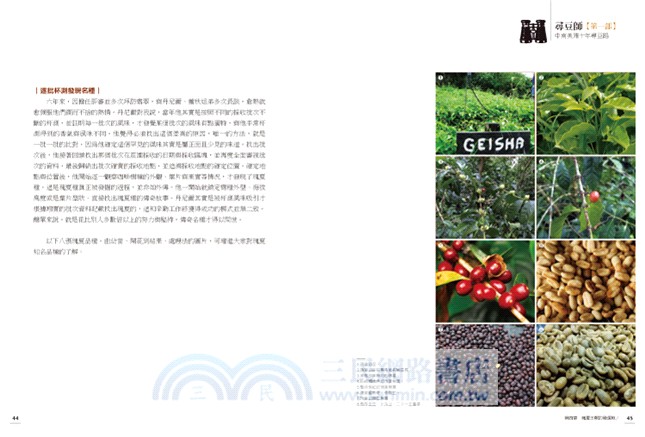 尋豆師：國際評審的中南美洲精品咖啡莊園報告書