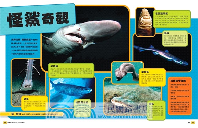 國家地理兒童百科：鯊魚