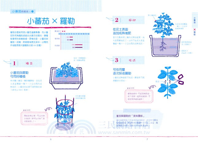 不依賴農藥的花盆菜園：實踐共生農法，自己種菜吃得安全又安心