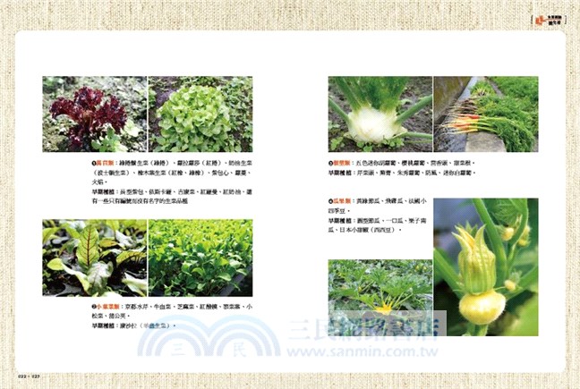 生菜女王：從自然農場到米其林餐廳，林晏廷的美味人生