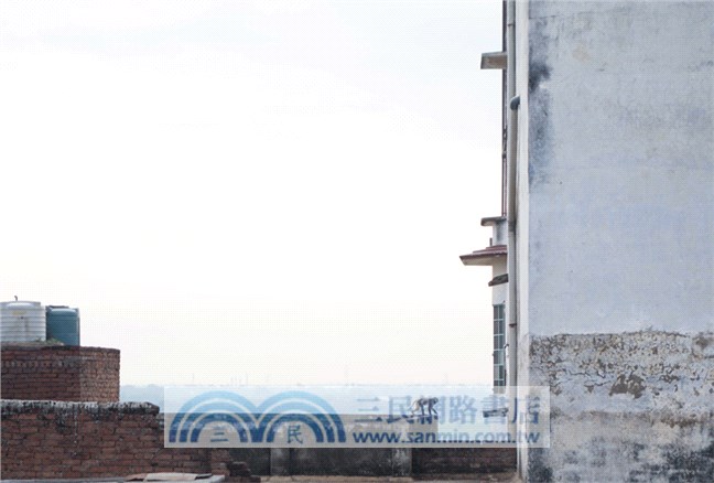 動物國的流浪者