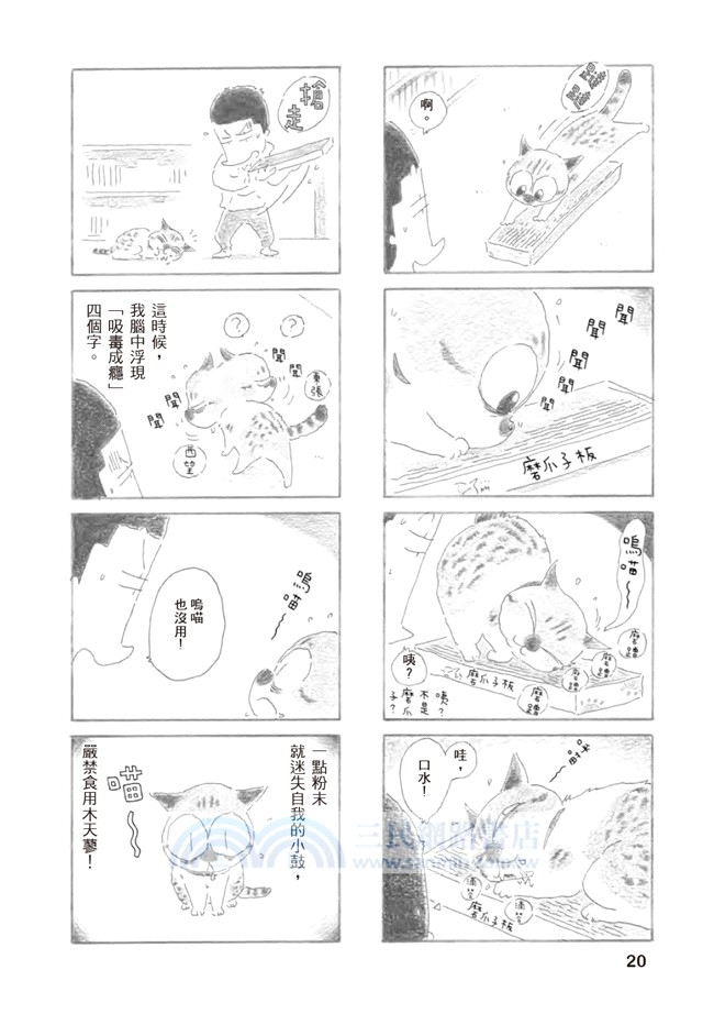 為什麼貓都叫不來。最終