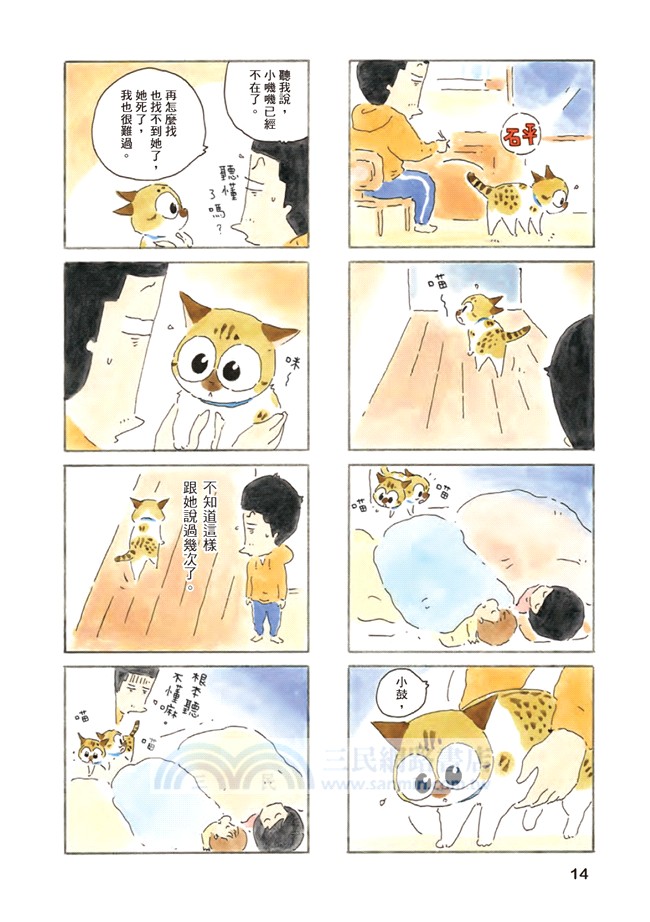 為什麼貓都叫不來。最終